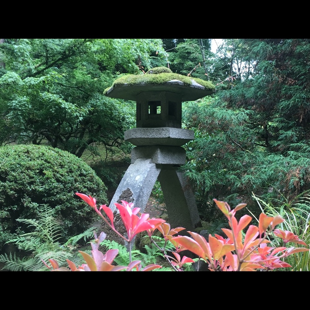 Meet your Posher, Mel